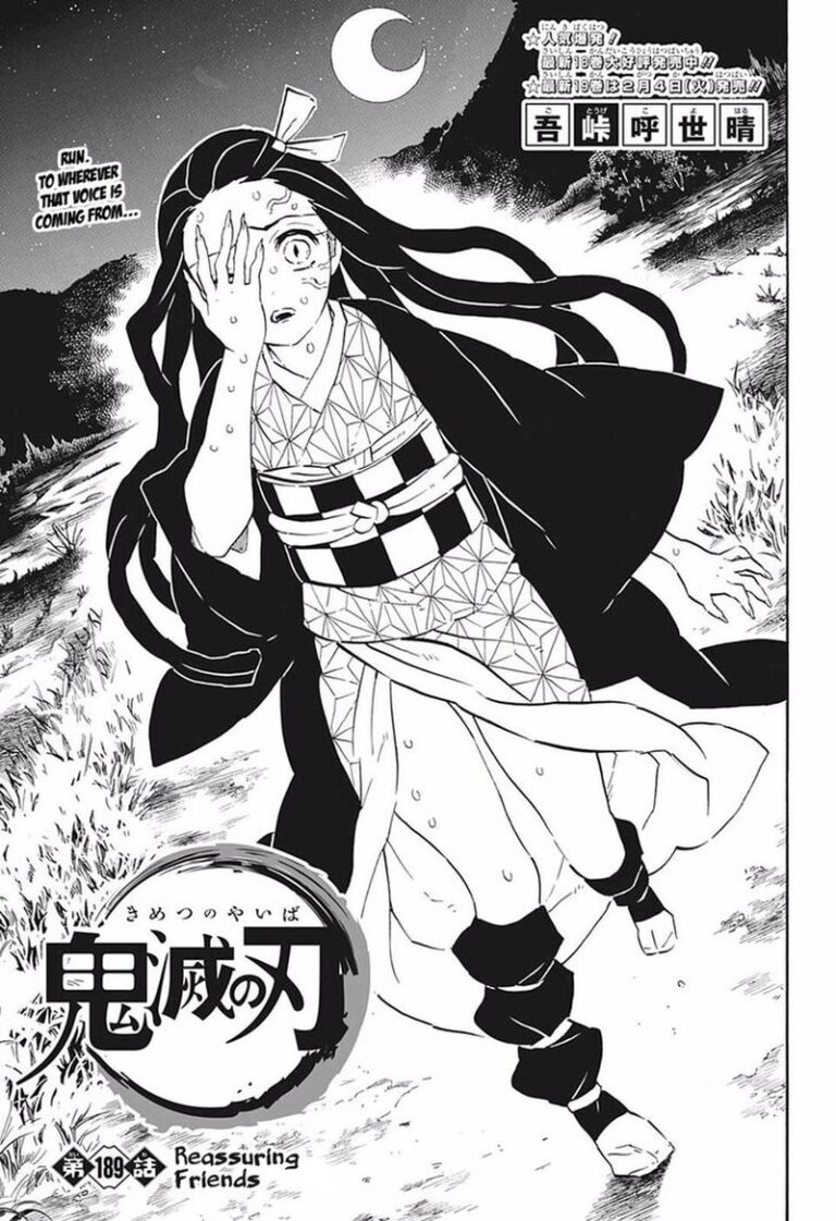 Demon Slayer, Chapter 189 : Reassuring Friends