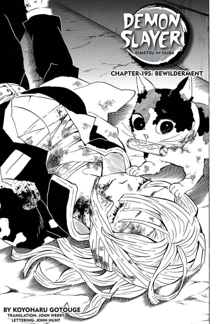 Demon Slayer, Chapter 195 : Bewilderment