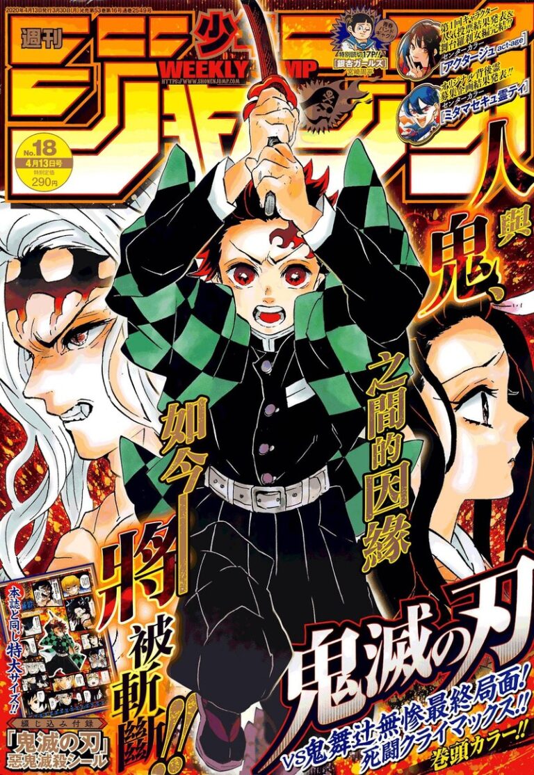 Demon Slayer, Chapter 200 : The Price of Victory