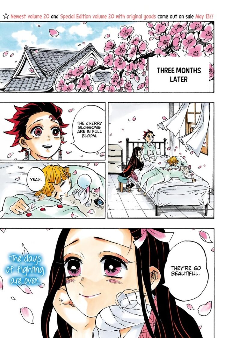 Demon Slayer, Chapter 204 : A world without demons