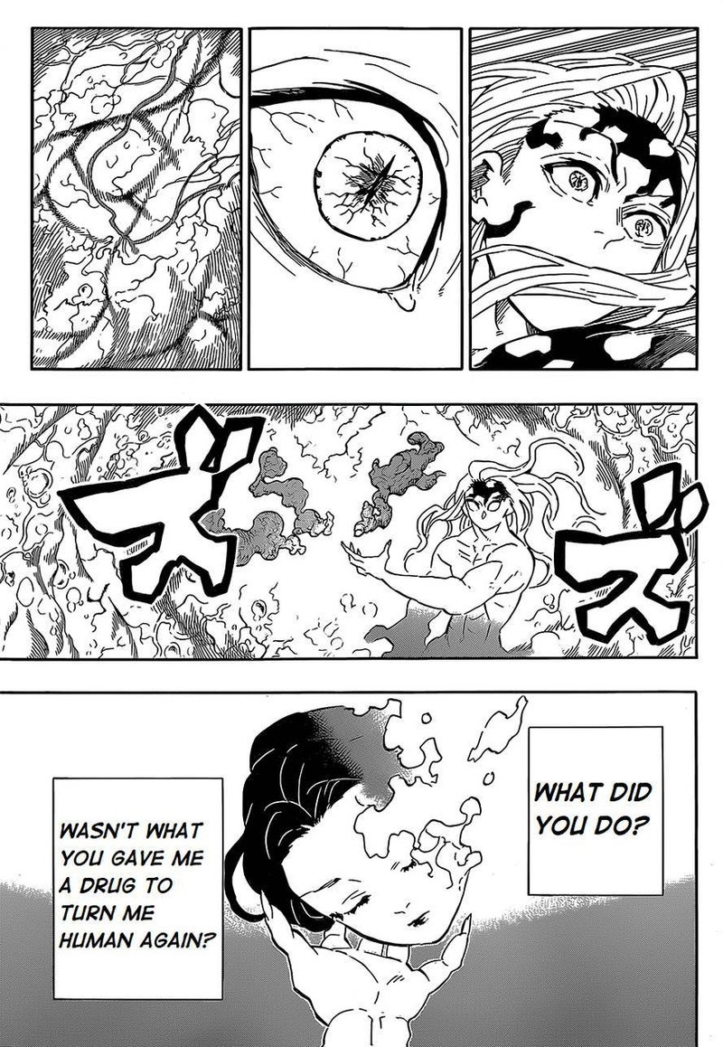 Demon Slayer Chapter 193 - Page